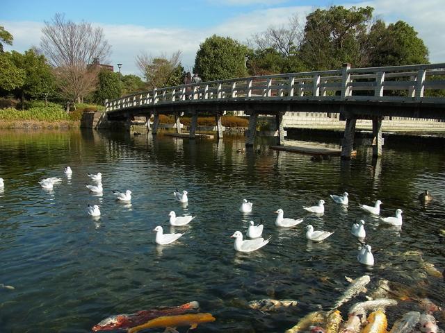 Shirotori Garden